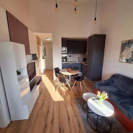 Ivko - Private Parking 公寓 *